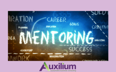 Have you accessed the power of a Mentor yet?