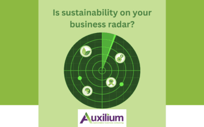 Is your SME in need of sustainability support?