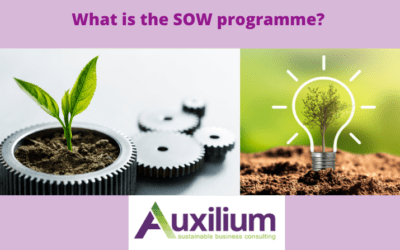 Case Study – How I helped the first 3 Clients on my SOW programme.