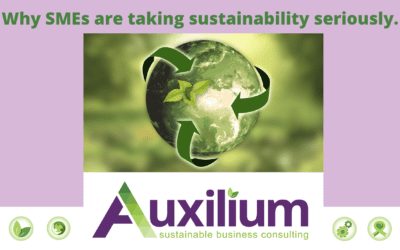 Case Study – Why small business owners are focusing on sustainability and the impacts they are making.