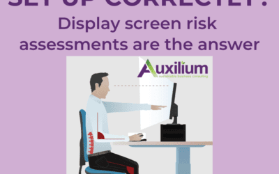 Display Screen Risk Assessment