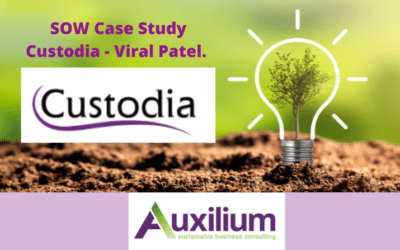 Case Study – SOW for a Financial Advisor.