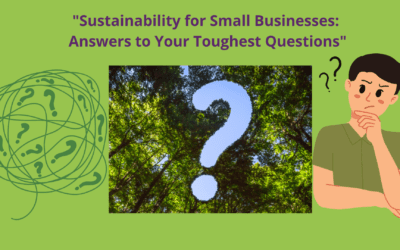 What is the point of sustainability when other countries like USA and China are not bothering?