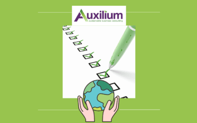 The Sustainability Checklist: How to assess where your small business stands right now