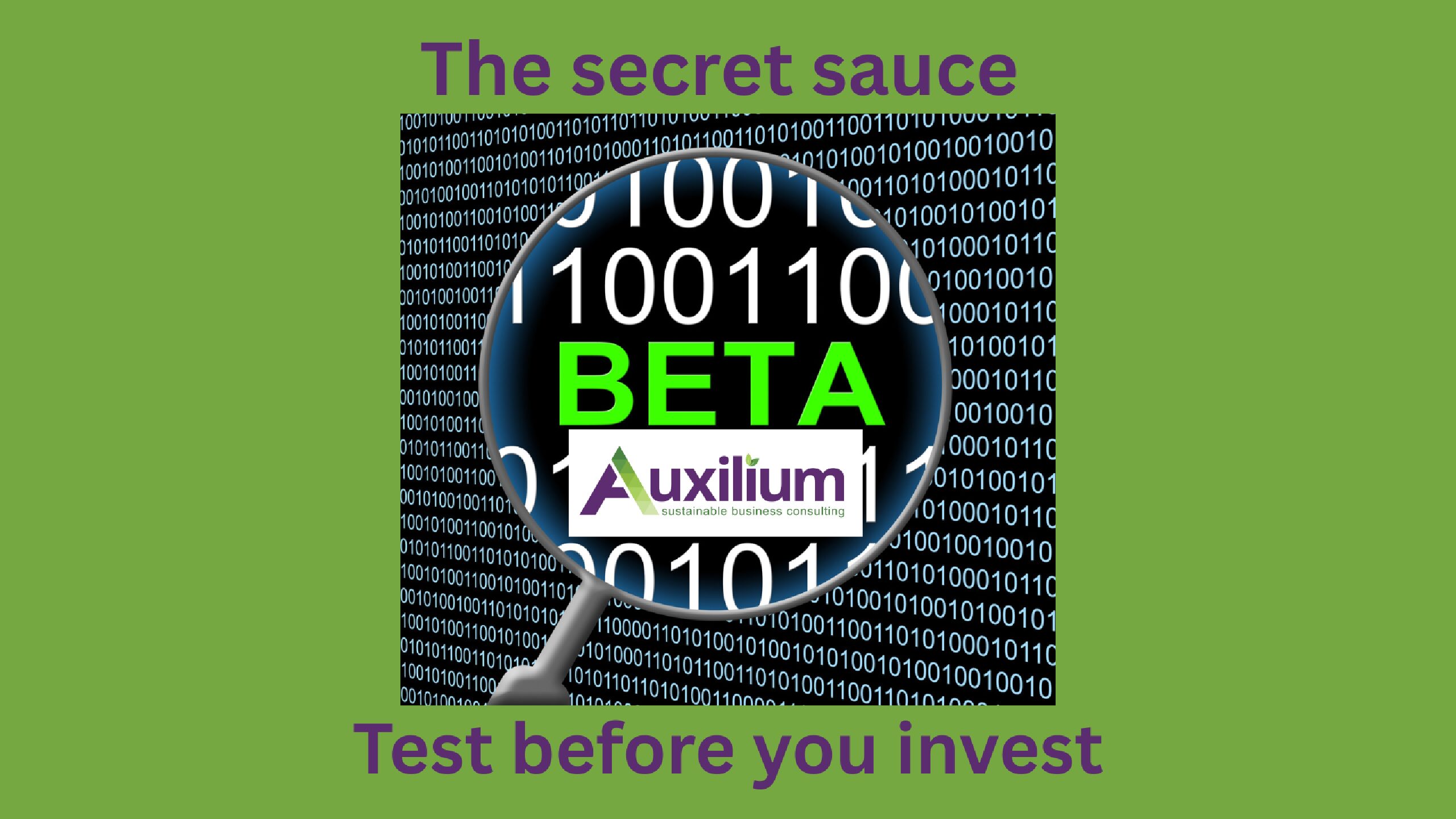 Beta Testing: Why SMEs can’t afford to skip It