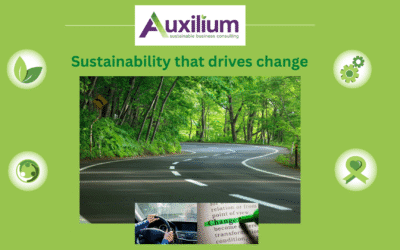 Making sustainability work for your small business:
